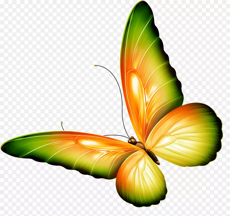 毛茸茸的蝴蝶-华莱尔·恩瓦肯玛的美丽花园诗-蝴蝶剪贴画-蝴蝶