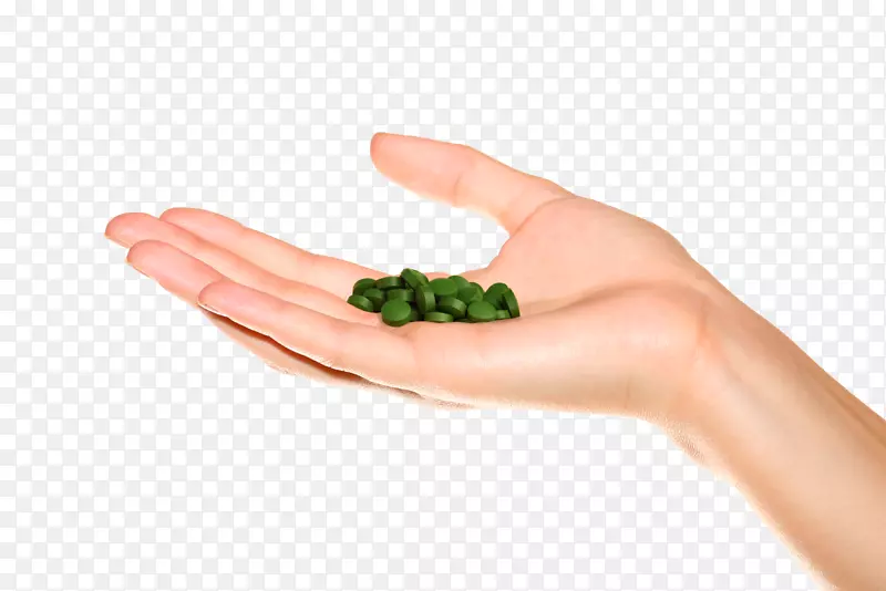 小球藻食物手模型拇指小球藻