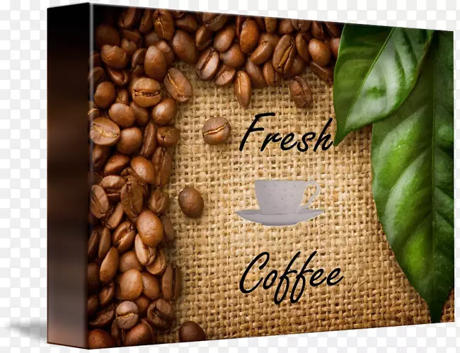 牙买加蓝山咖啡豆绿咖啡提取物摄影-新鲜咖啡