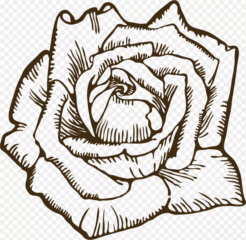 玫瑰画夹艺术-玫瑰
