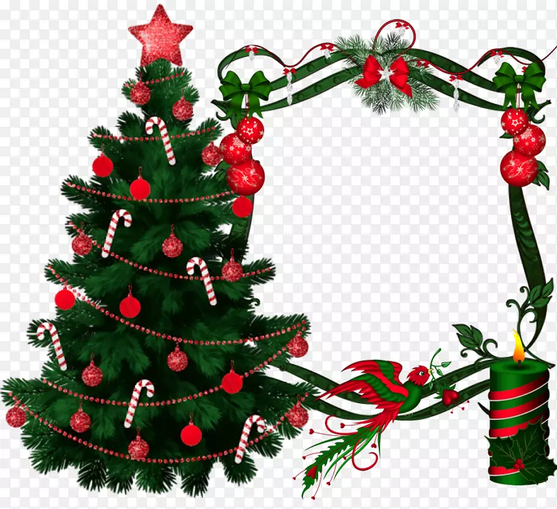 圣诞树，圣诞装饰，冬季集群-圣诞树