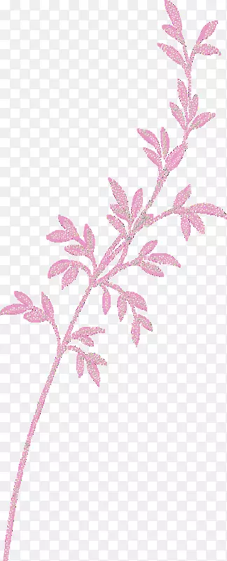 嫩枝粉红色m植物茎叶花瓣叶