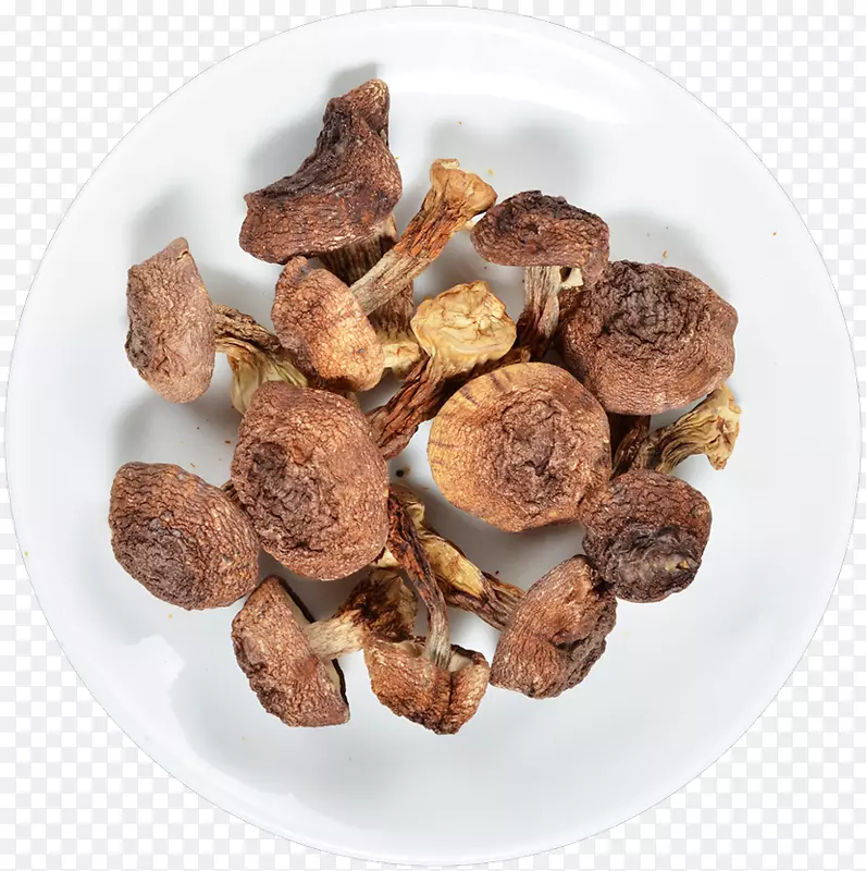 食用菌饲料补充剂-蘑菇