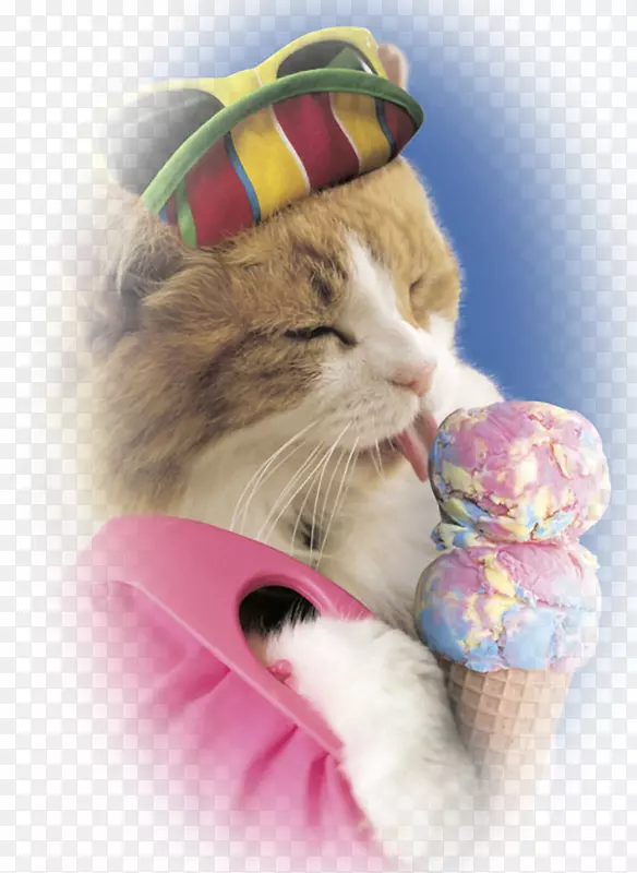 雪糕锥猫-冰淇淋