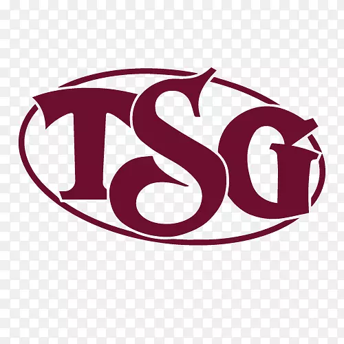 徽标TSG消费者合作伙伴品牌私人股本-设计