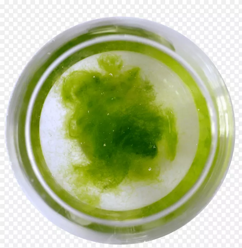 细菌绿藻工具环境