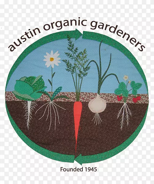 园艺一年四季蔬菜园丁：如何种植自己的食物365天，无论你住在哪里种植西红柿蔬菜。