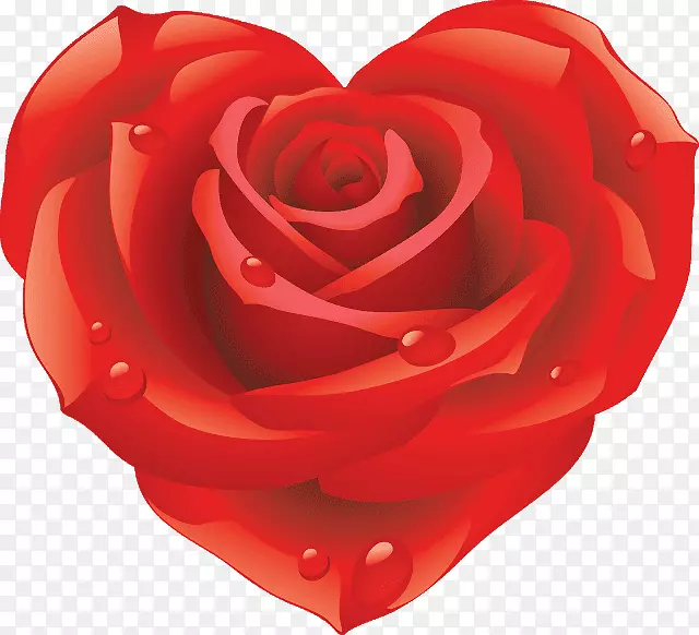 最佳玫瑰桌面壁纸下载剪贴画-玫瑰