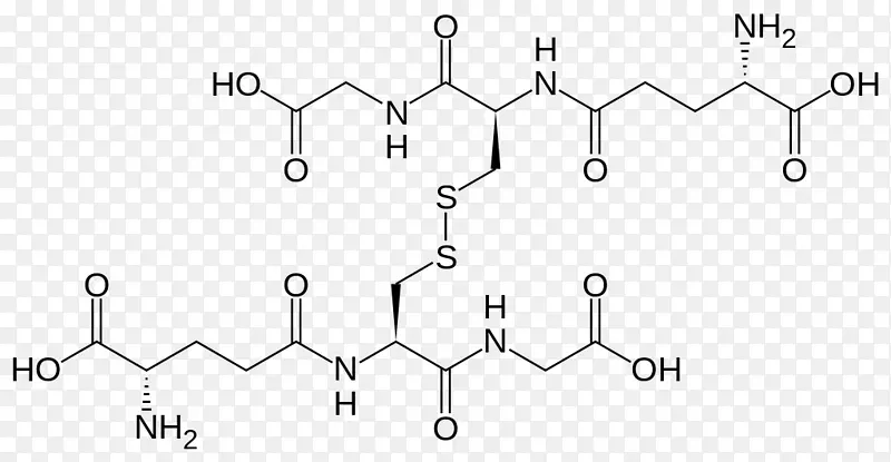 谷胱甘肽二硫谷胱甘肽过氧化物酶-谷胱甘肽