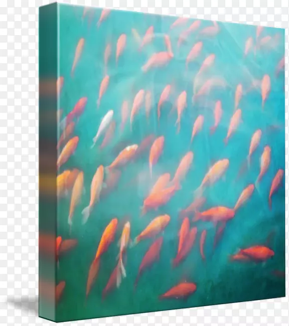 海洋生物、海底、珊瑚礁鱼-游泳海报