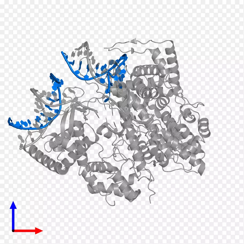 品牌有机体字体-DNA分子