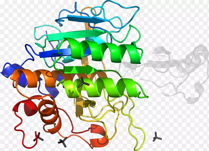单胺氧化酶nnt酶数处理蛋白质-酶