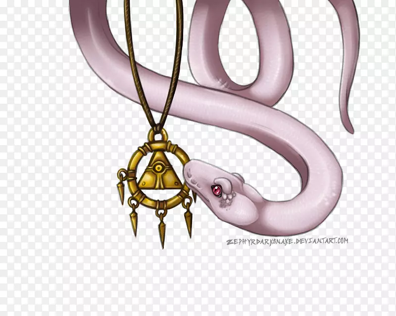 环颈蛇爬行动物艺术品珠宝.蛇