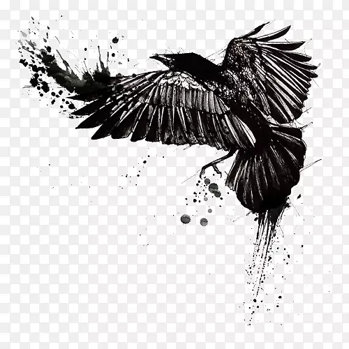 纹身墨水袖刺青黑色和灰色普通乌鸦