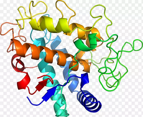 抗菌肽蛋白天然免疫系统