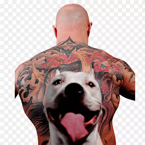 纹身-人类背犬繁殖时尚