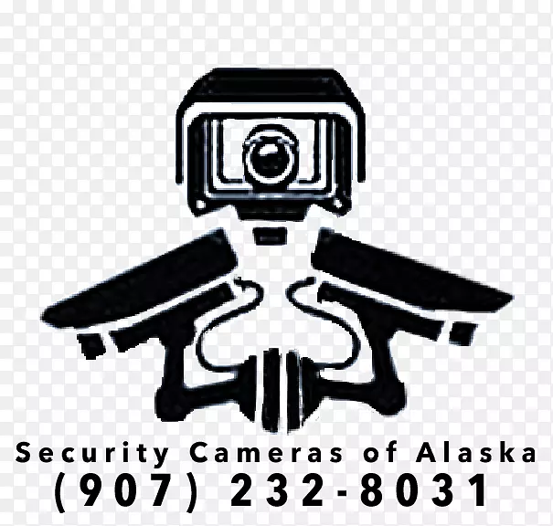 无线安全摄像头闭路电视家庭安全简化安全-网络安全保障
