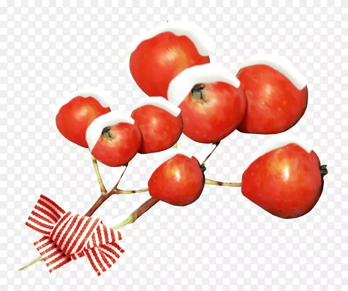 巴巴多斯樱桃副果玫瑰花-石榴-雪花元素