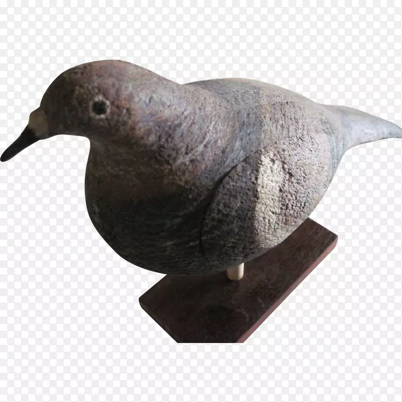雕塑喙动物.手绘鸟类