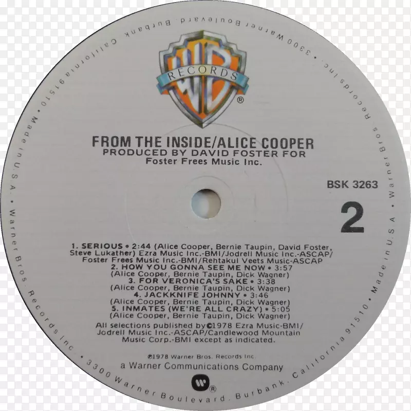 唱片留声机唱片专辑华纳兄弟。记录12英寸单曲爱丽丝库珀