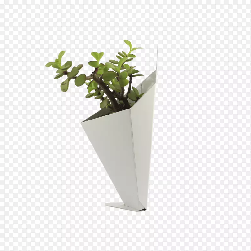 花盆墙室内植物餐桌装饰