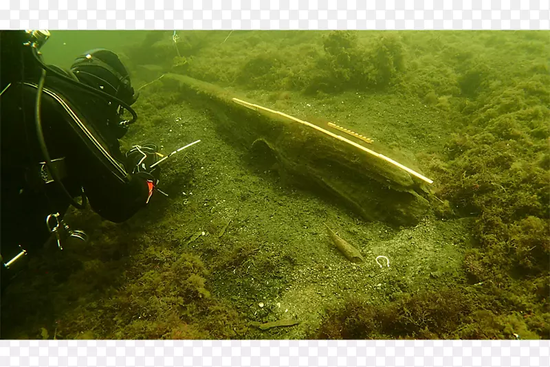 罗尼比波罗的海布兰金博物馆潜水员-海