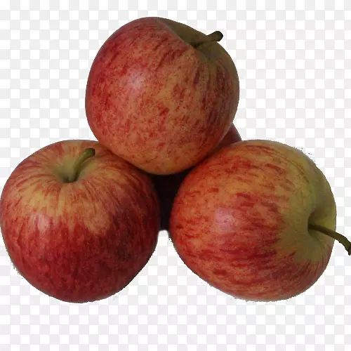 麦金托什红苹果配果苹果