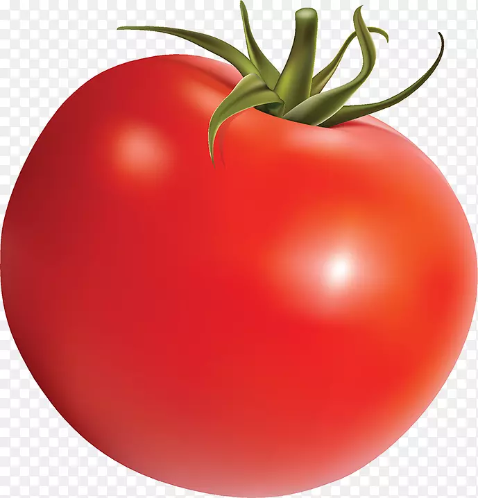李子番茄灌木番茄披萨番茄汤-番茄
