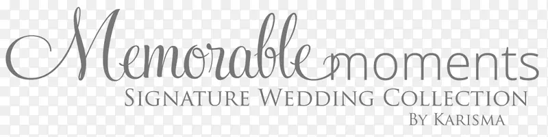 标志品牌婚礼字体-白日梦婚礼