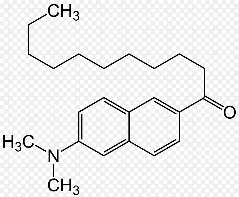 生物碱化合物分子