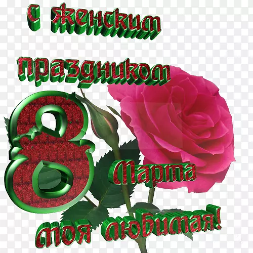 花园玫瑰Odnoclassniki文字假期3月8日