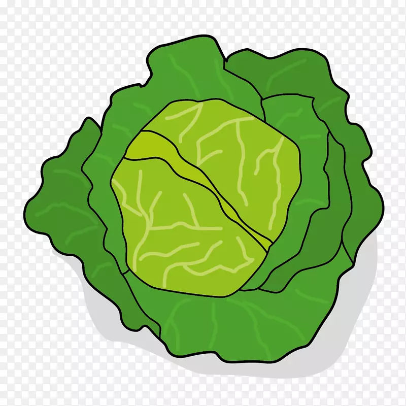 叶蔬菜周电脑图标卷心菜-蔬菜