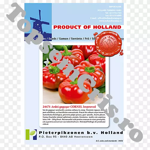 番茄本地食品广告天然食品-番茄