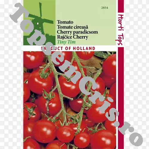 樱桃番茄灌木番茄食品-樱桃