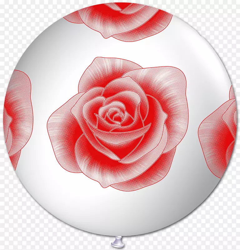 花园玫瑰球衣红气球-玫瑰