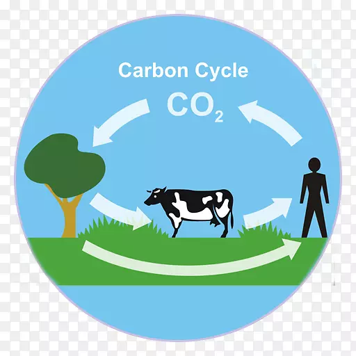 二氧化碳生物地球化学循环光合作用-水