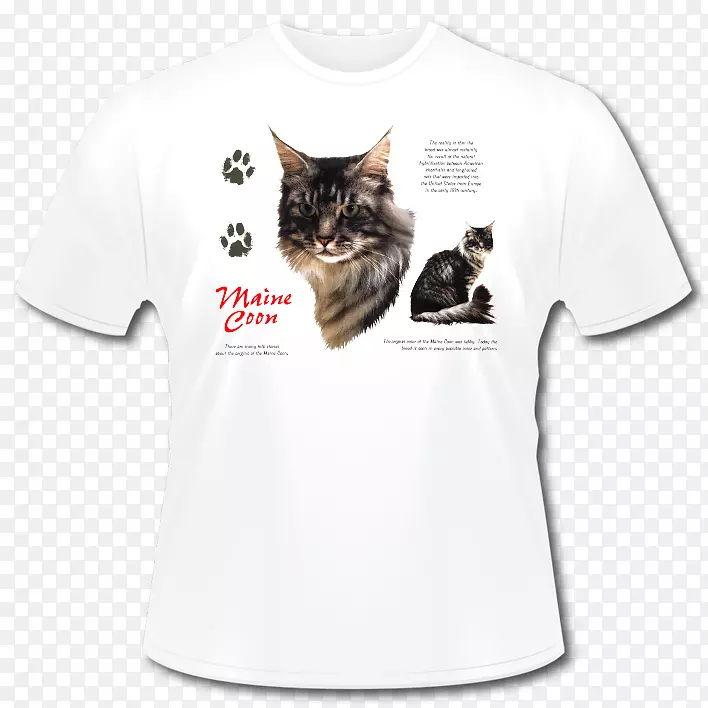 小猫t恤袖子外装字体