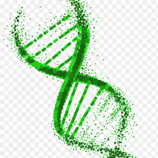 DNA提取遗传学转基因生物