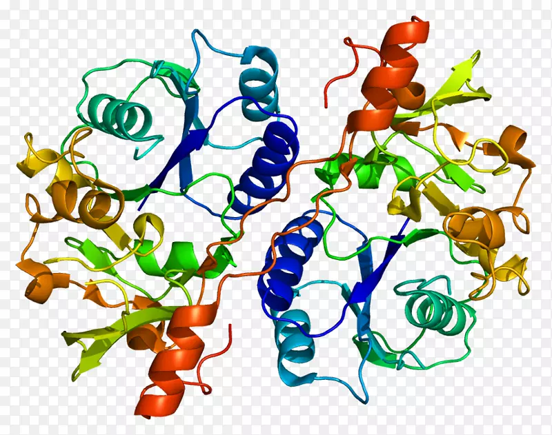 葡萄糖醛糖基转移酶b3gat3蛋白基因酶-血小板