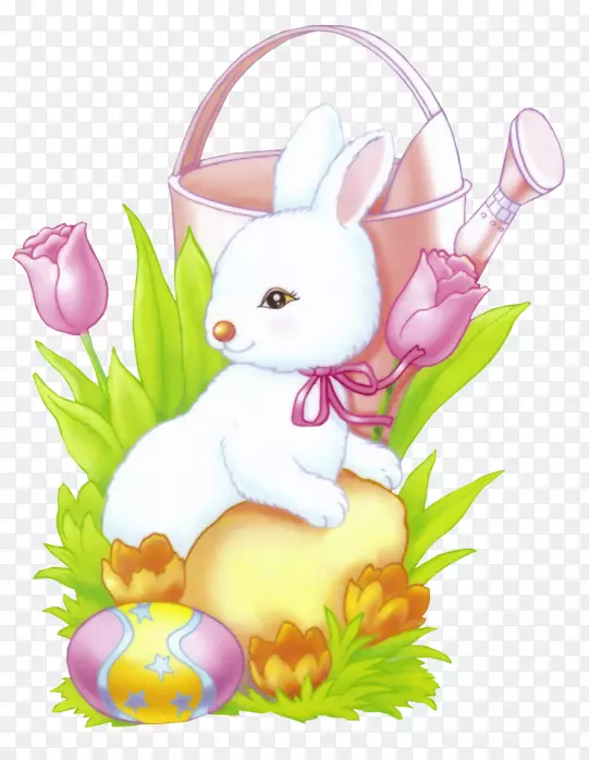 家养兔子复活节彩蛋-兔子