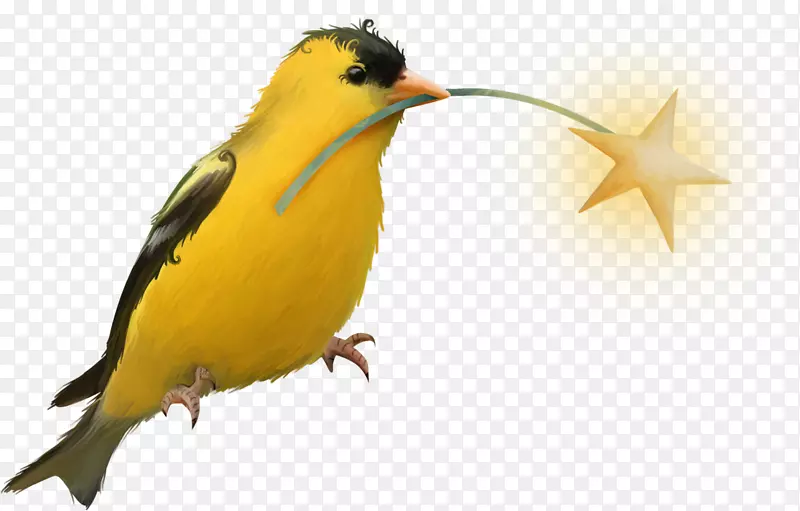 鸟嘴黄色剪贴画-鸟
