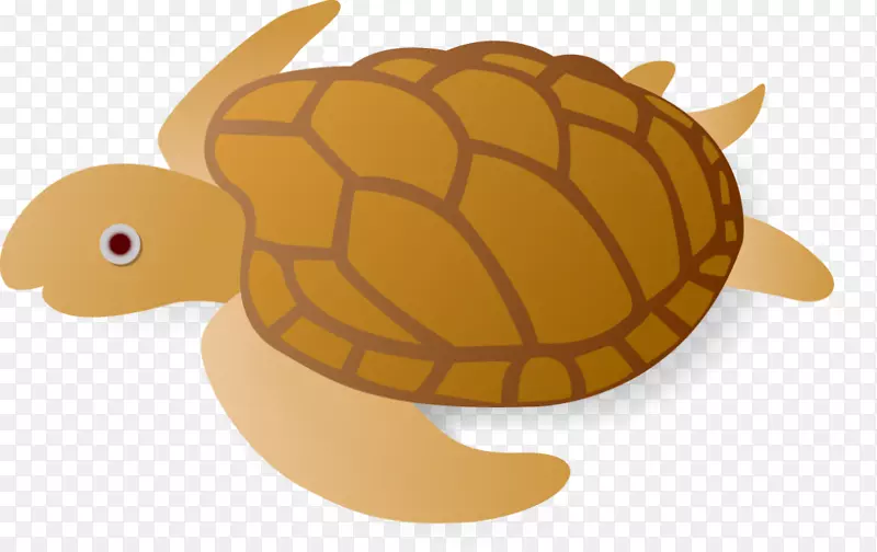 海龟塘龟卡通龟