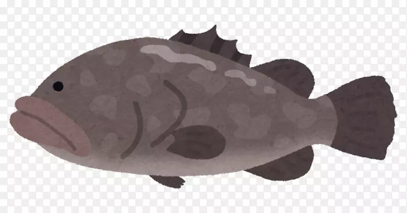 褐石斑鱼传送带寿司食品鲭鱼寿司