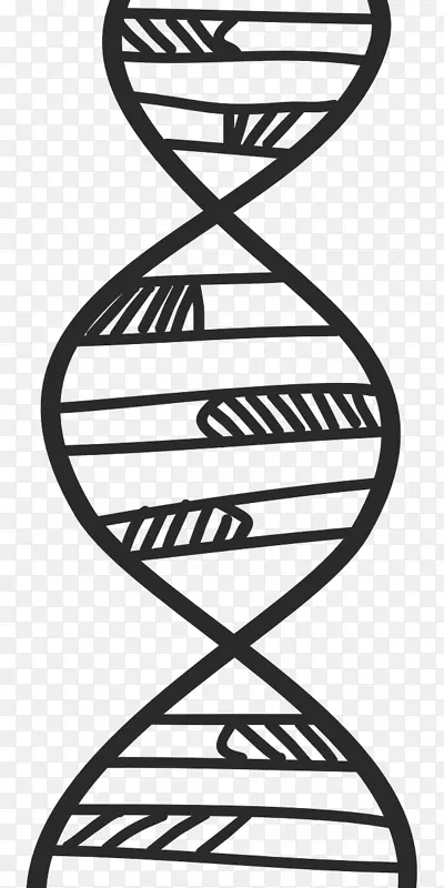 DNA遗传学生物科学生物化学-科学