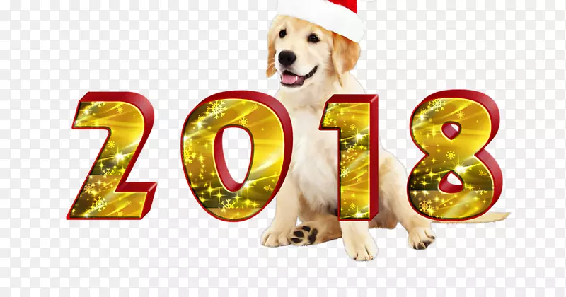 小狗Прикмета新年占星术-小狗