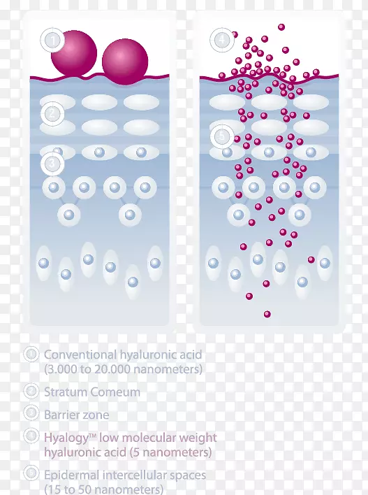 透明质酸护肤氨基酸透明质酸