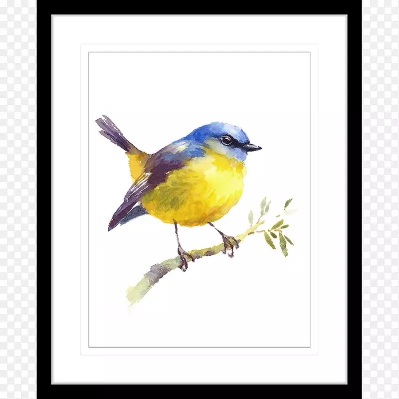 鸟水彩画艺术绘画-鸟