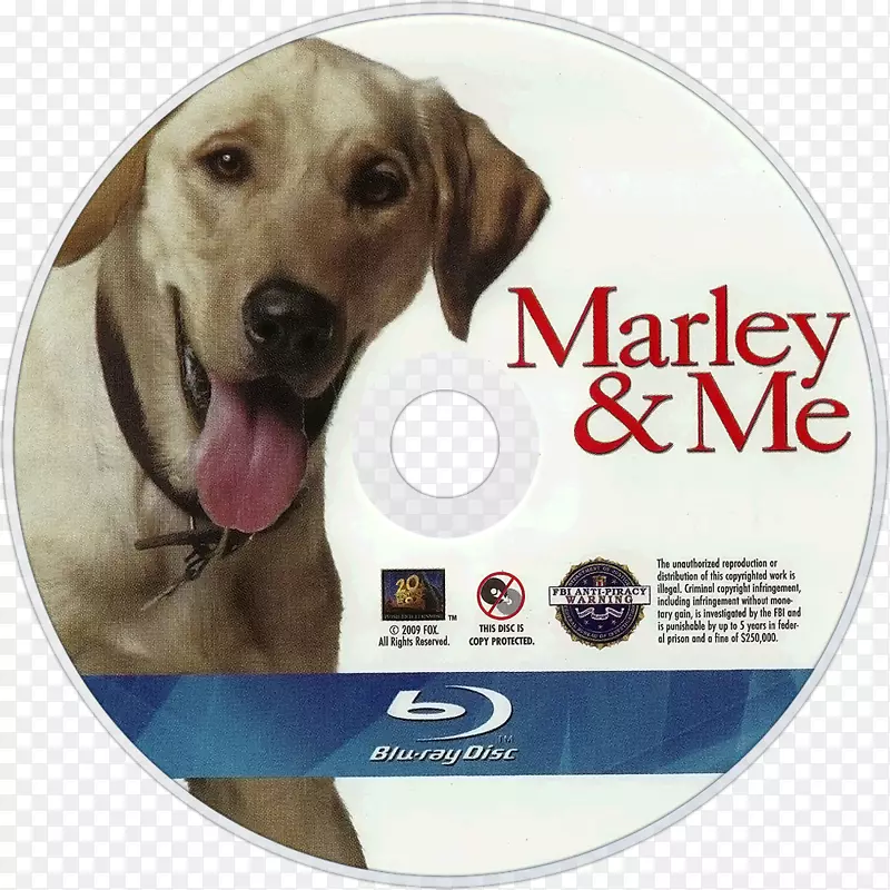 拉布拉多猎犬马利和我：与世界上最糟糕的狗电影生活和爱-马利