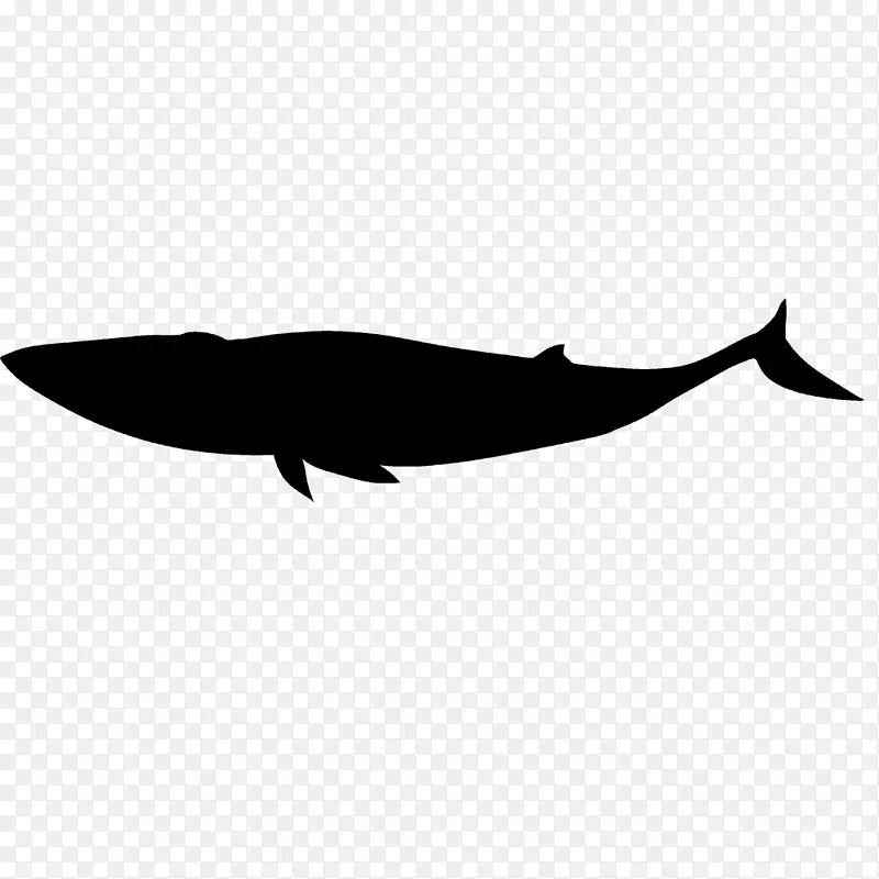 海豚甲壳动物剪影剪贴画-海豚