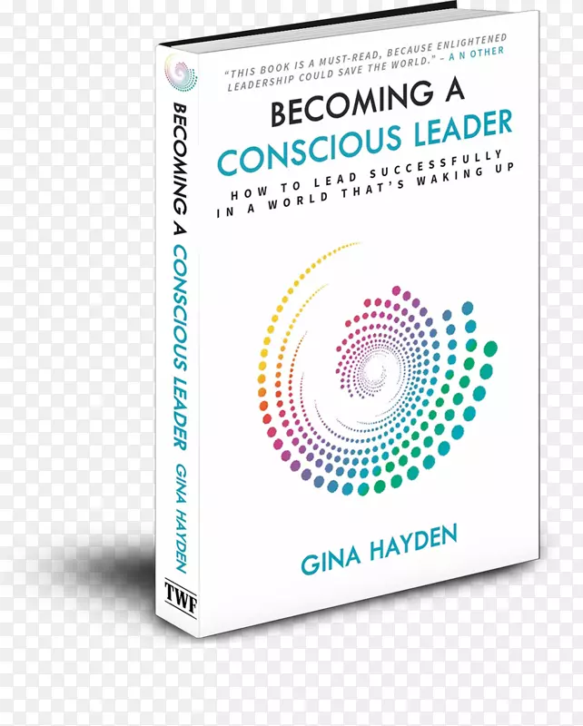 成为一个有意识的领导者：如何在一个觉醒的世界中成功地领导-亚马逊-有意识的书